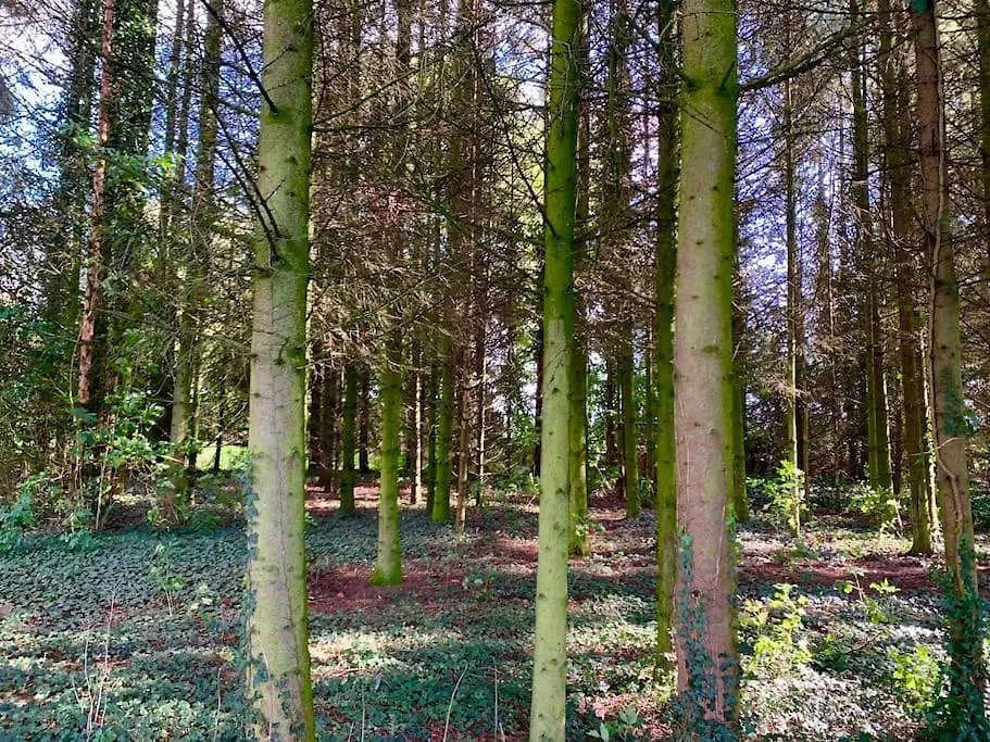 Honeyacres Villa Down Hatherley